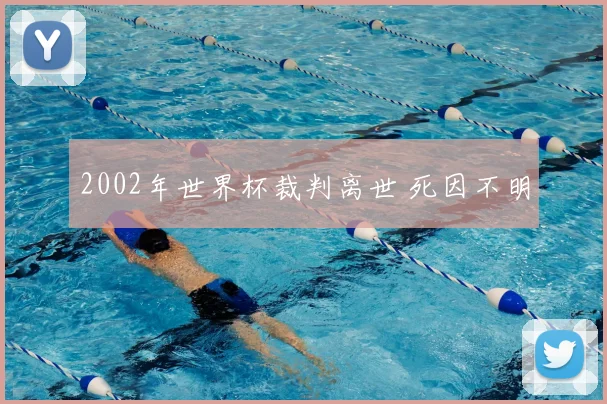 2002年世界杯裁判离世 死因不明