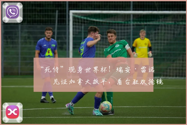 “死侍”现身世界杯!瑞安·雷诺兹见证加拿大扳平,看台狂欢抢镜