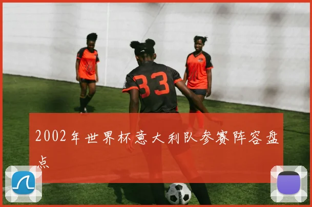 2002年世界杯意大利队参赛阵容盘点