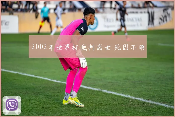 2002年世界杯裁判离世 死因不明