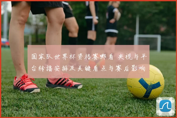 国家队世界杯资格赛哪看 央视与平台转播安排及关键看点与赛后影响