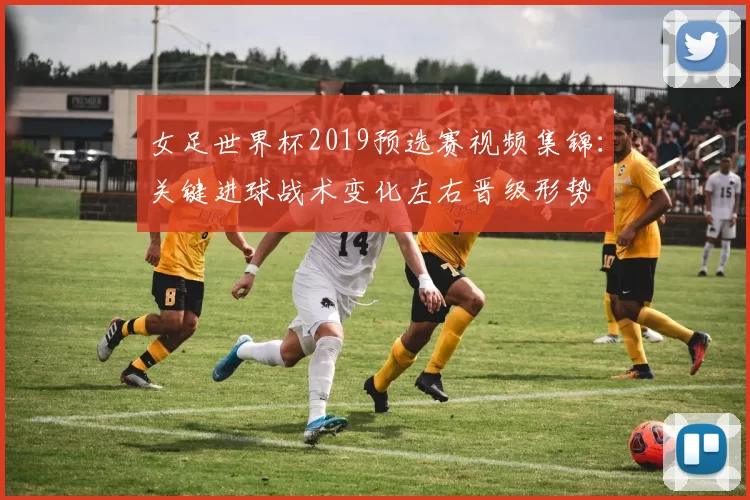 女足世界杯2019预选赛视频集锦：关键进球战术变化左右晋级形势